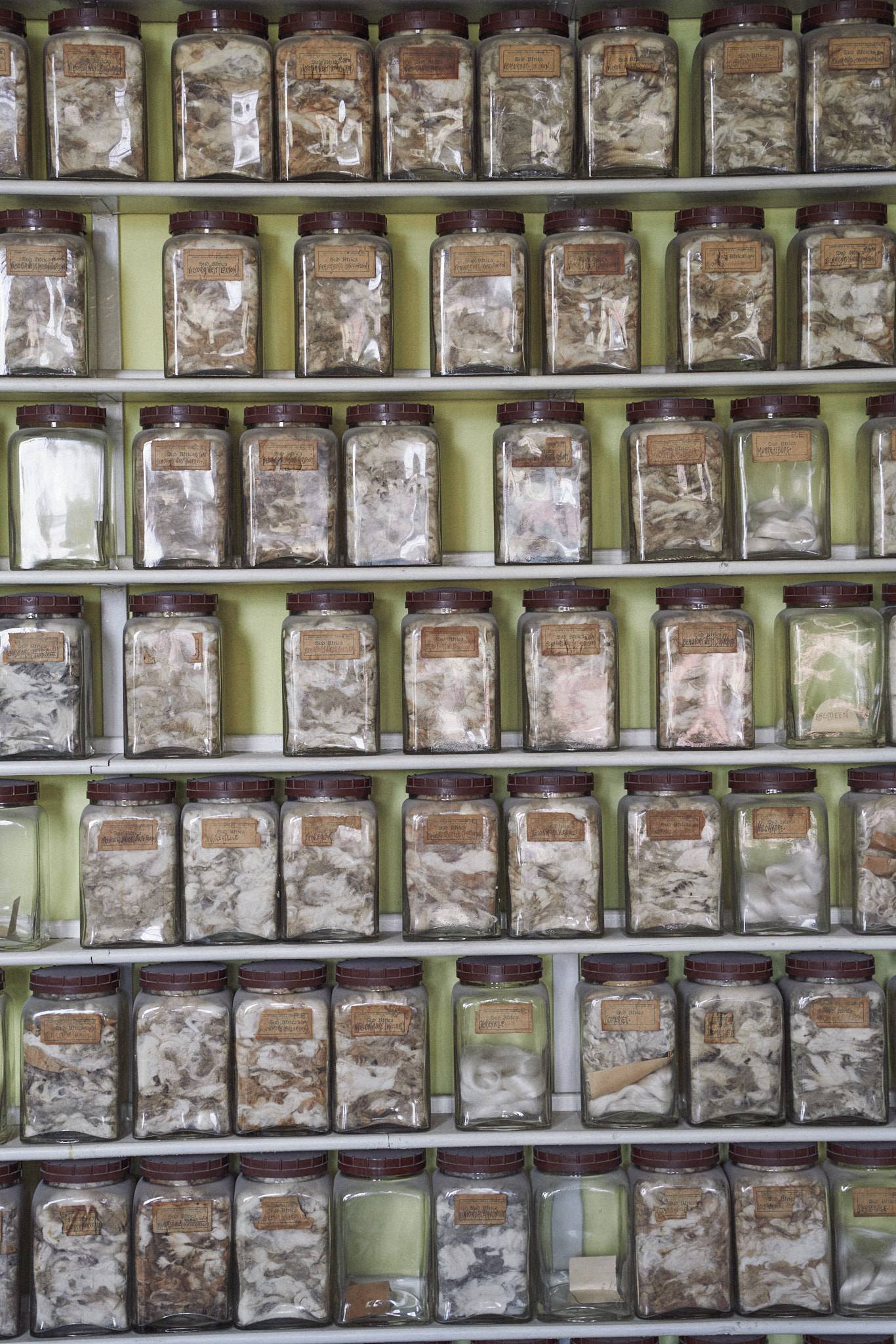 Zu Besuch in der Weberei Vitale Barberis Canonico