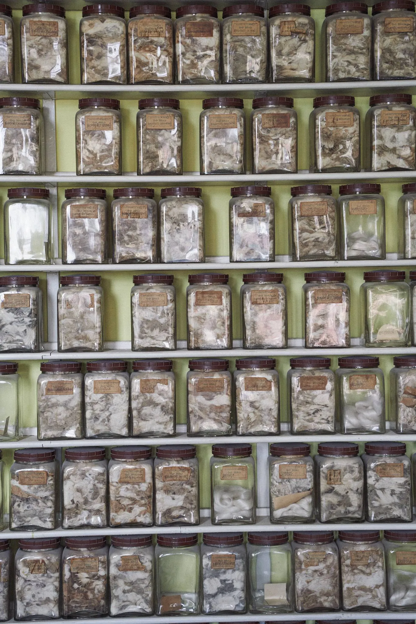 Zu Besuch in der Weberei Vitale Barberis Canonico